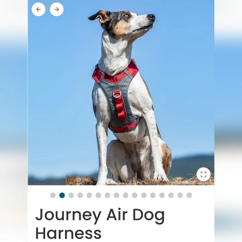Kurgo sturdy harness